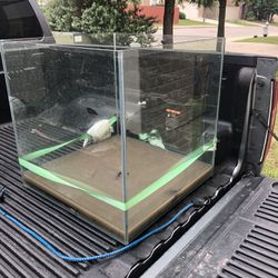 60 Gallon Rimless Fish Tank