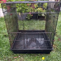 Black Bird Cage 