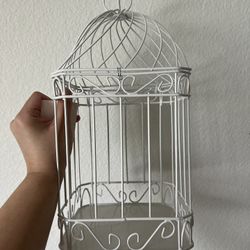 Bird Cage For Cards