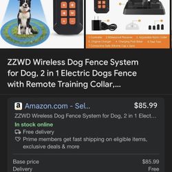 Dog Fence And Trainer