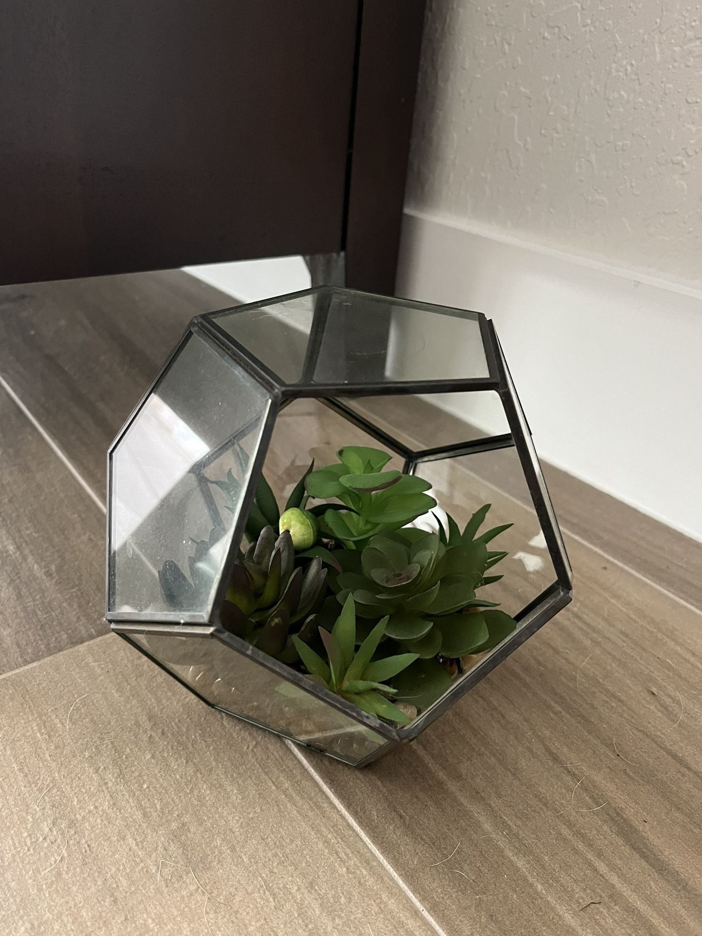 Terrarium Succulent Plant Centerpiece Floral Faux 