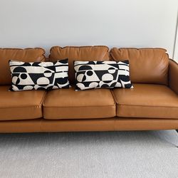 Vegan Leather Couch