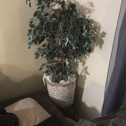 Artificial Plant