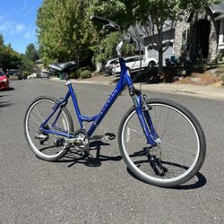 Schwinn Step Through Bike