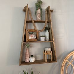 Hanging Shelf Ladder