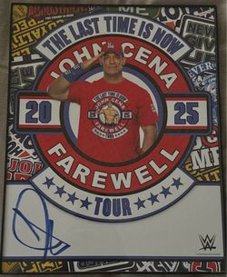 WWE auto John cena