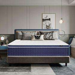 12”Inch king Size Mattress in a Box, Memory Foam Hybrid Mattress with Individually Pocket Springs, Medium Firm, Strong Edge