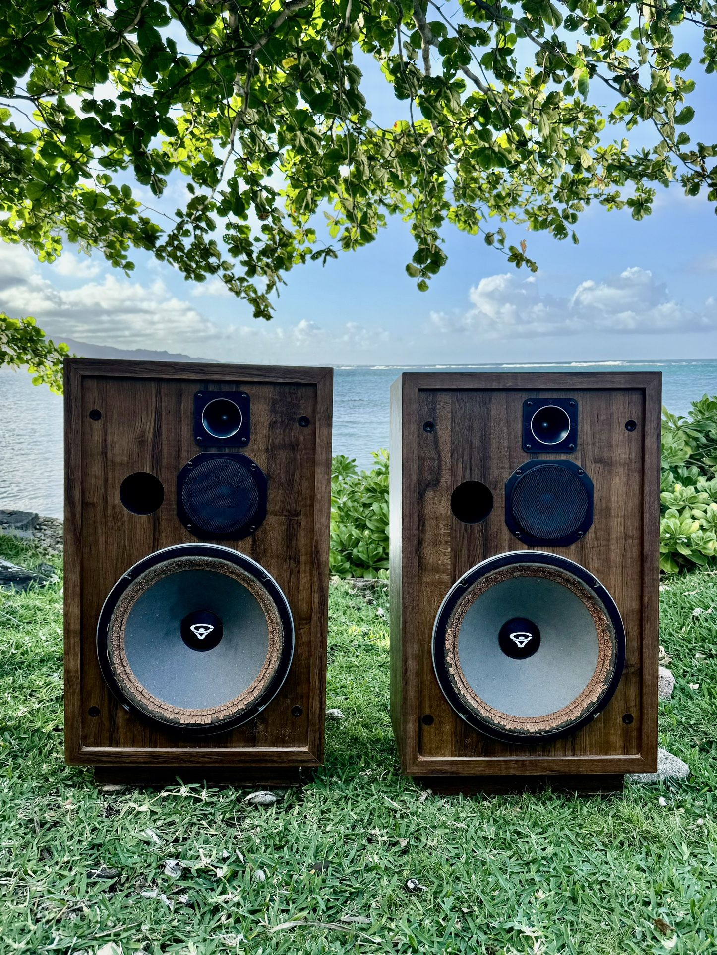 Vintage Cerwin-Vega D-5 Speakers