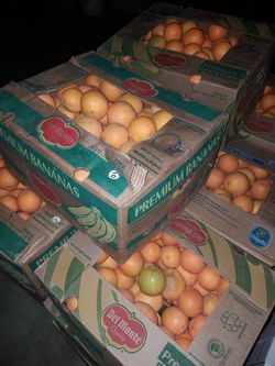 Oranges