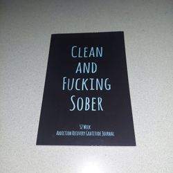 RARE 2019 CLEAN AND FUCKING SOBER 52 WEEK ADDICTION RECOVERY GRATITUDE JOURNAL 