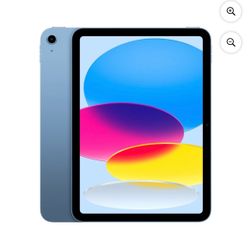 Apple iPad Light Blue