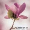 Graciela