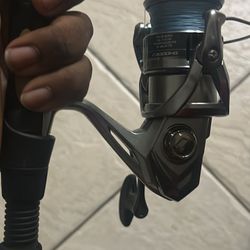 Shimano Nasci 3k / 7’6 Medium Heavy Live Bottom Rod