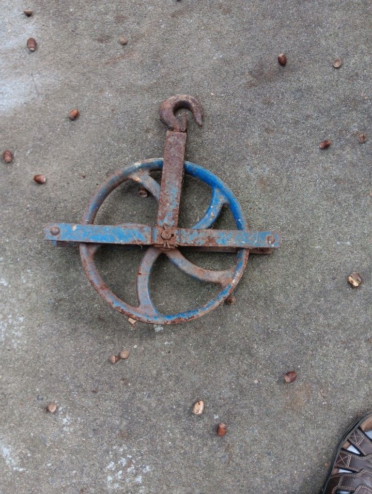 Scaffold Wheel