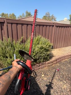 Hedge clippers