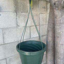 12” Hanging Basket