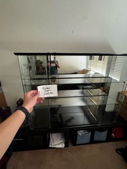 Display Case