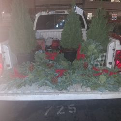 Christmas Wreaths W/3 Trees