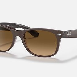 Ray-Ban Wayfarer Sunglasses 