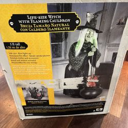 Gemmy 5ft Animatronic Witch Set Up To Test Halloween
