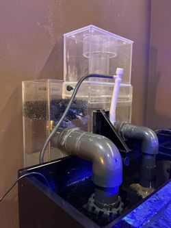 Reef Octopus HOB Skimmer