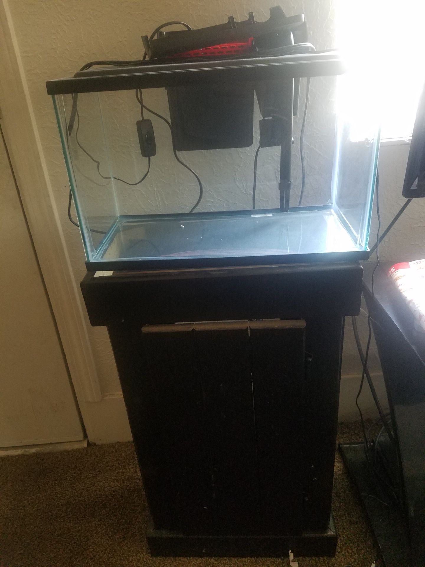 New fish tank