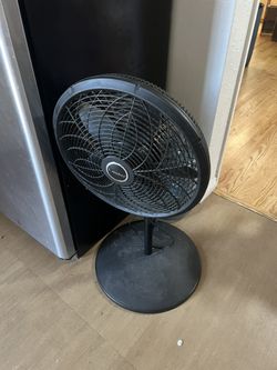 Fan