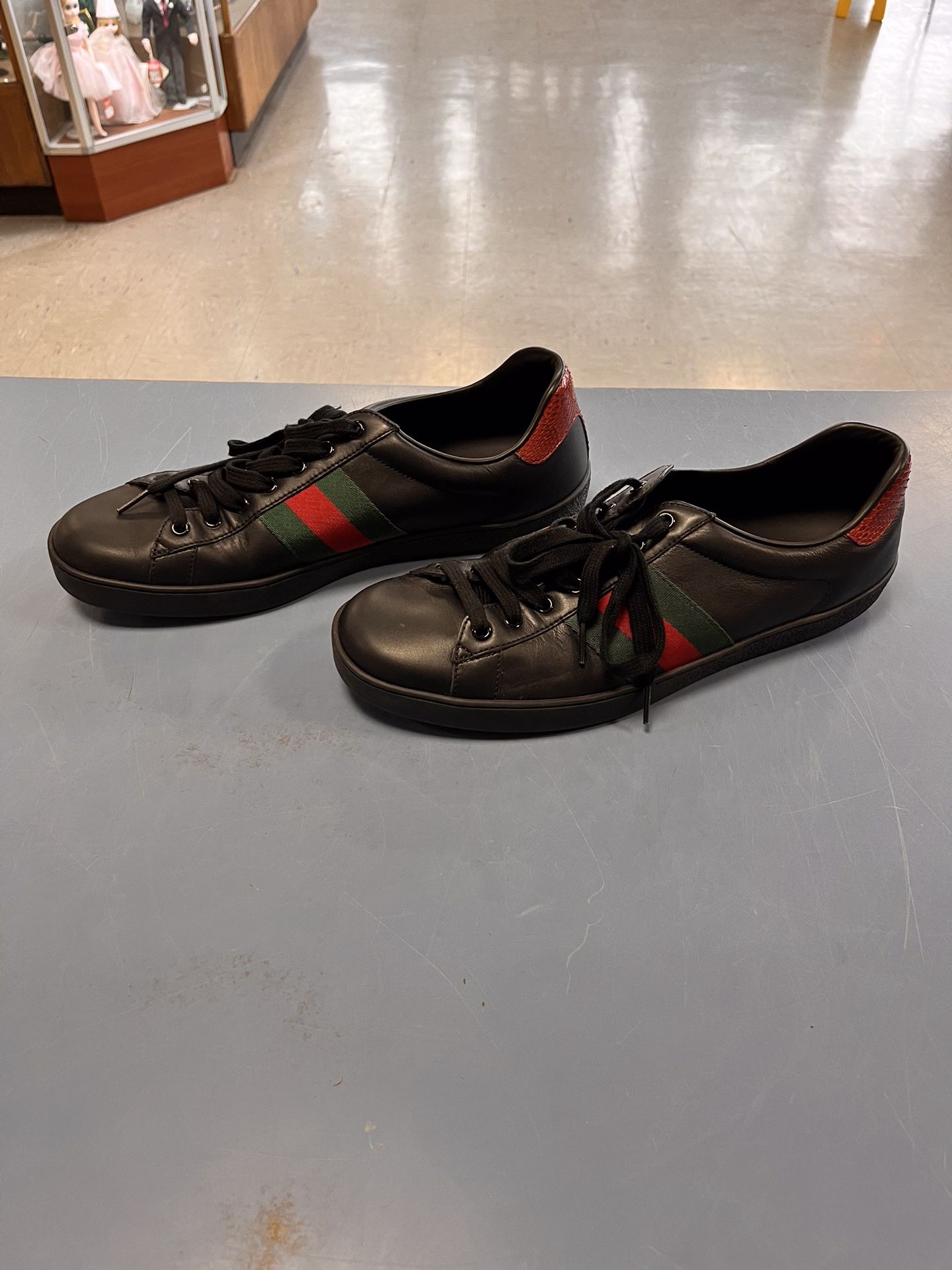 Men Gucci Web Ace Low Top Shoes