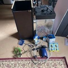 10 Gallon FISH Tank With Everything 