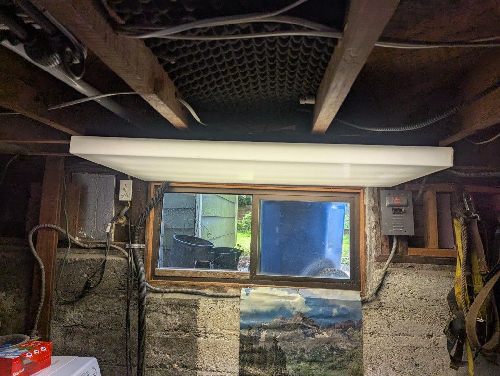 Free Flush Mount Fluorescent Ceiling Light
