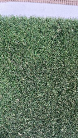 Artificial grass ($1.29 sqft)