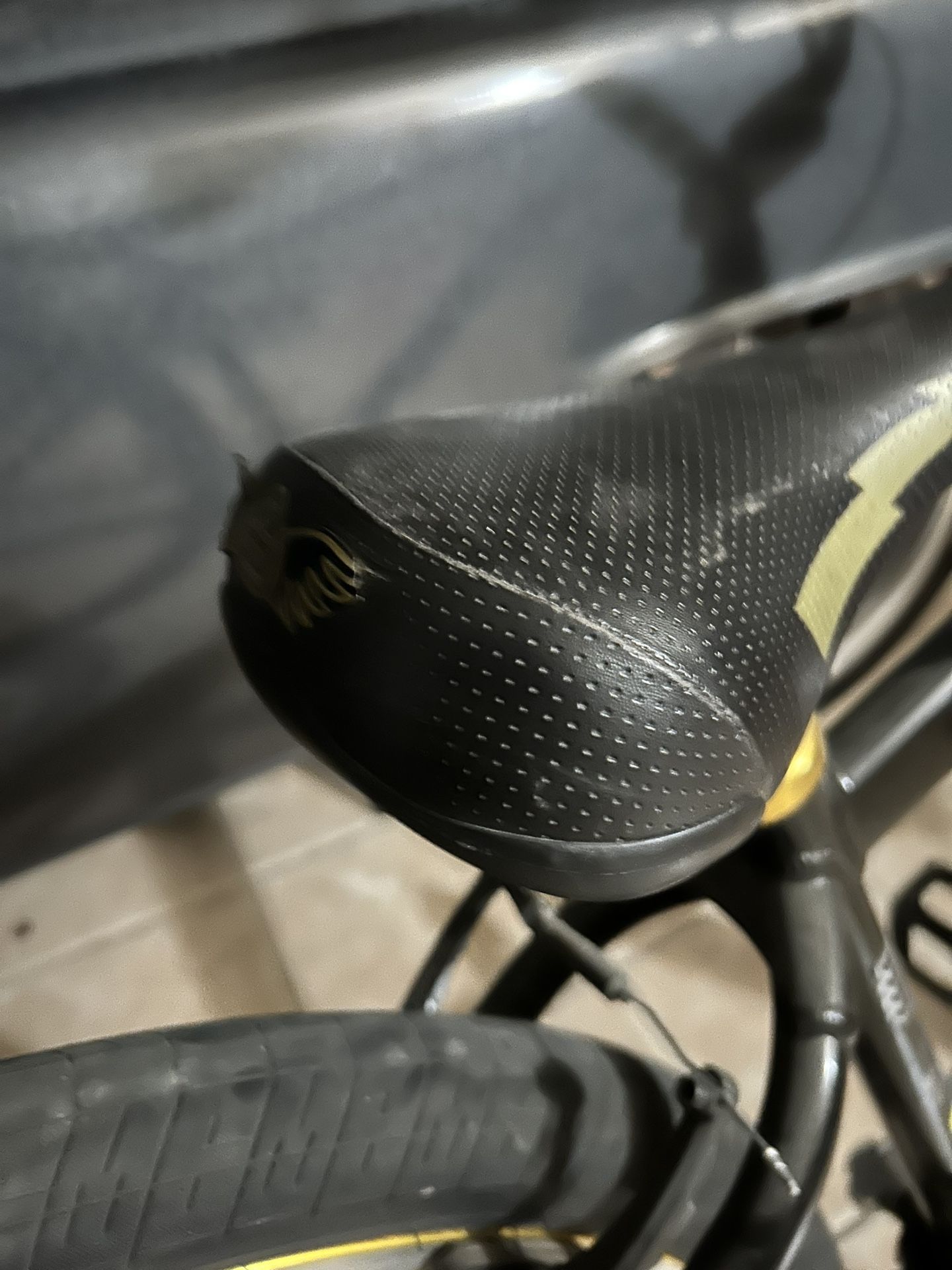 Gold Big Ripper SE Bike