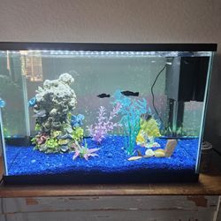 20 Gallon Aquarium With LED Lights, Decor, Gravel And Filters