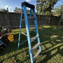 Werner 6ft Ladder 