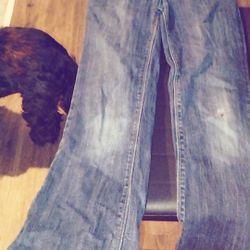 Flare Dark Wash Size 12 