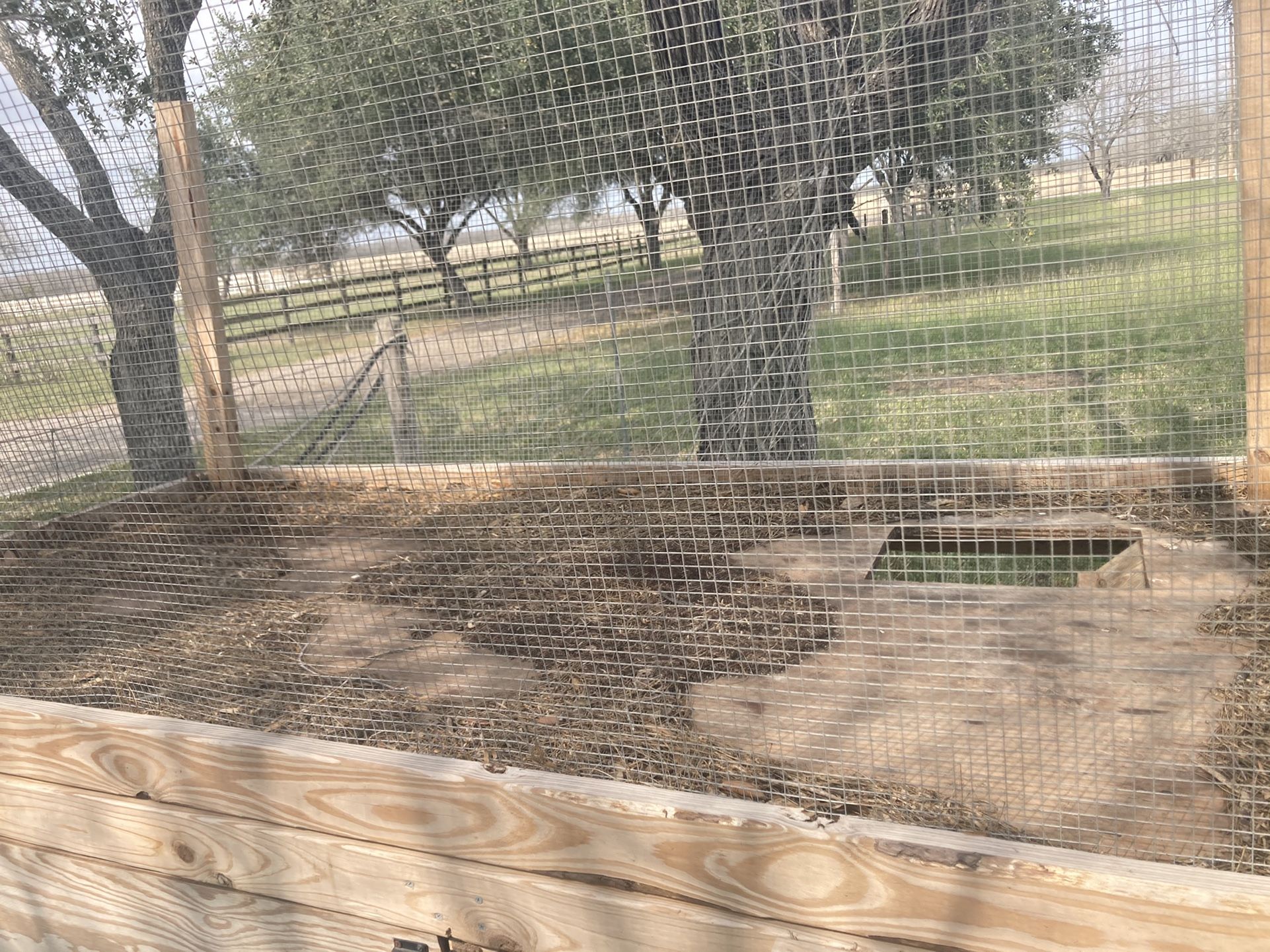 Custom Built 3 Story Chicken Lounge Lounge (Coop)