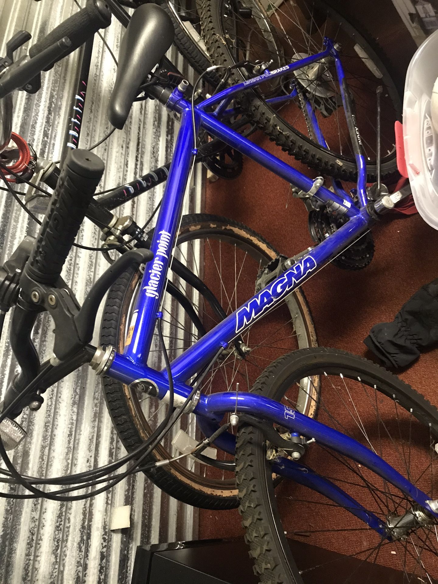 Mountain Bike