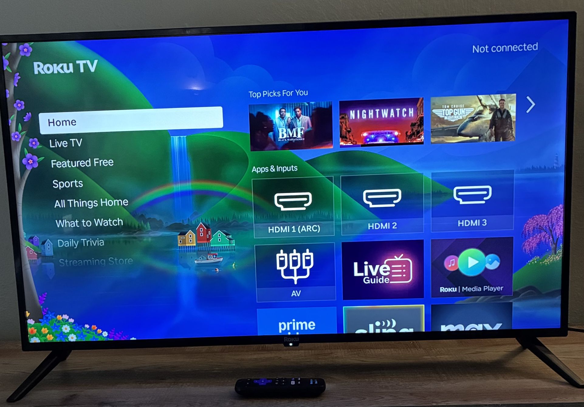 Roku Tv