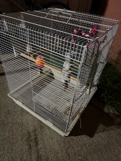 Cage