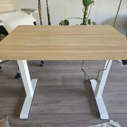 Branch Duo Standing/Sitting Adjustable Desk – 36” x 24”