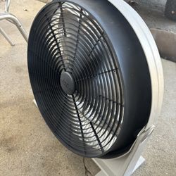 Fan 