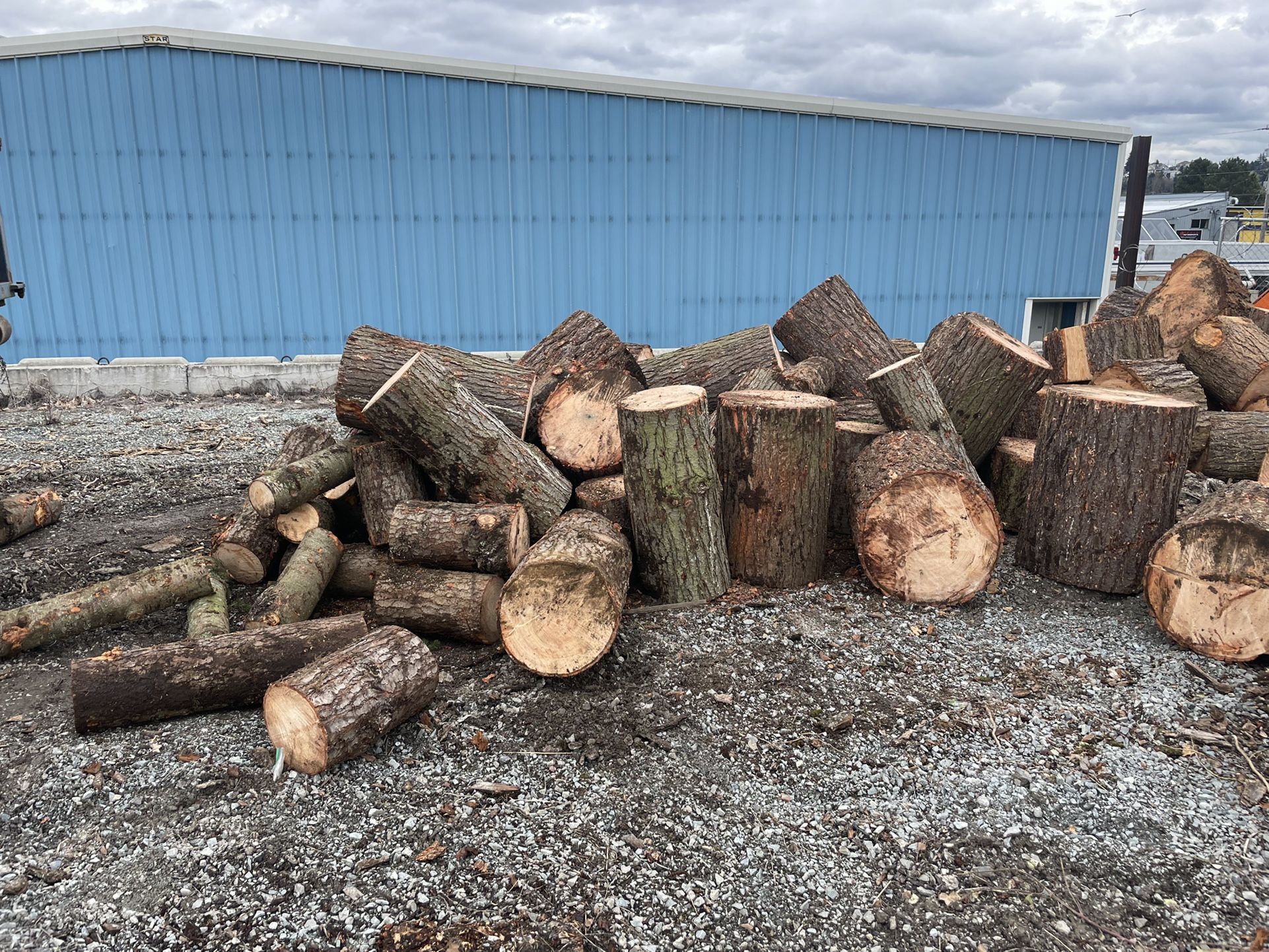 Fir wood rounds