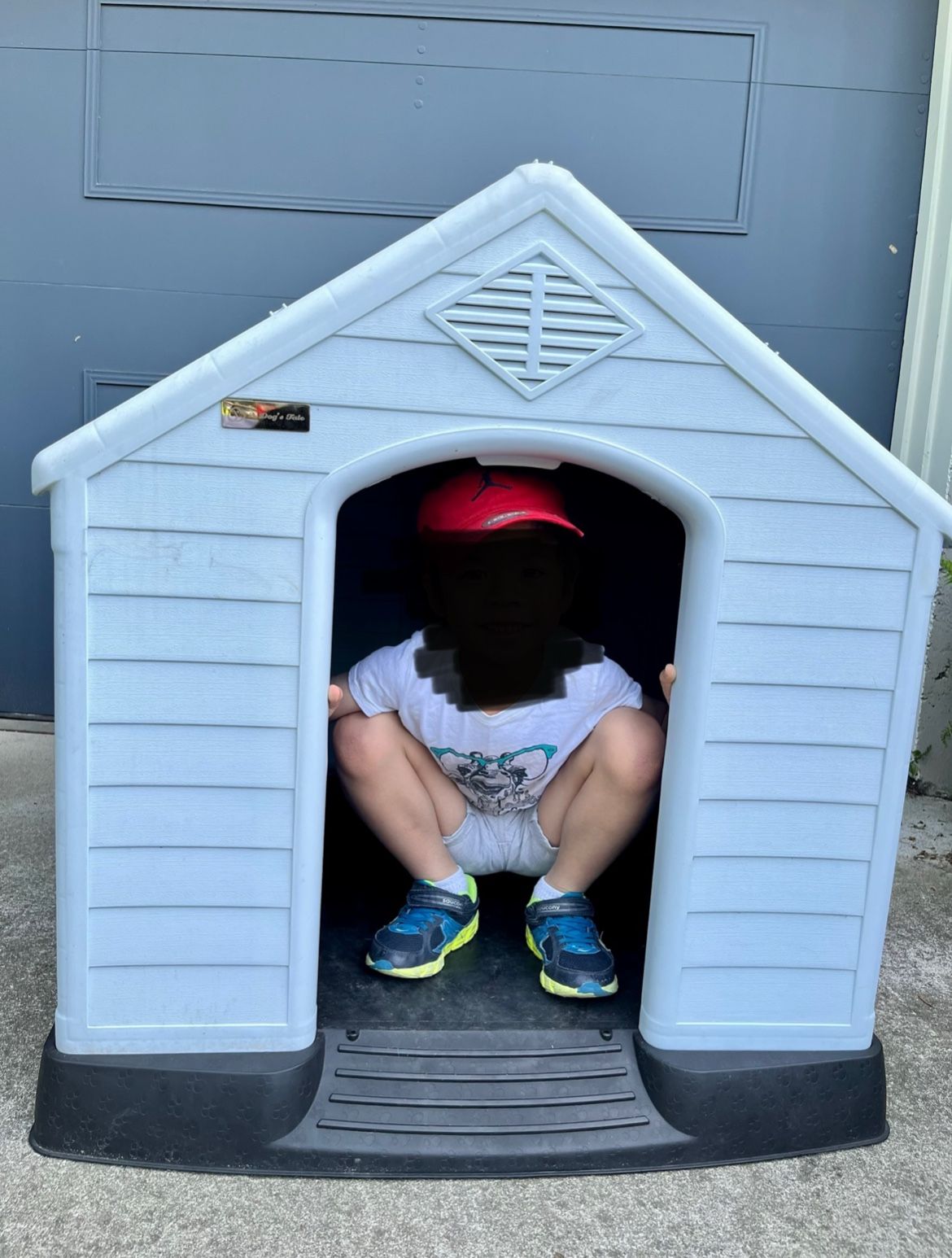 Dog House NEW
