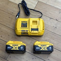 Dewalt 20v 4Ah Battery Fast Charger 8AMP Combo
