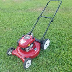 gas lawn mower with brand new blade $160 firm