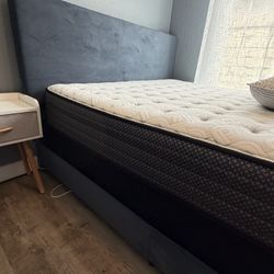 Queen Bed w/ Sealy Mattress And Box Spring