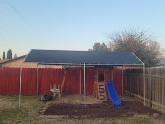 Carpas    Diferntes Tamaños 