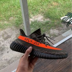 Yeezy Size 11.5 