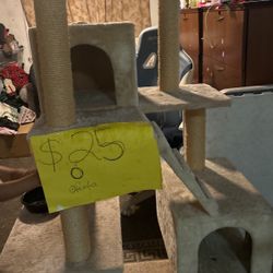 Casa De Gatos