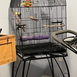 Large Bird Cage  